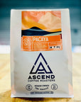 Pacaya - Medium Roast Coffee - Ascend Coffee Roasters -